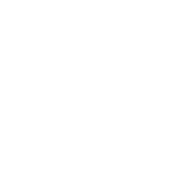 Unser Badge für das 25-jährige Bestehen der Interlake